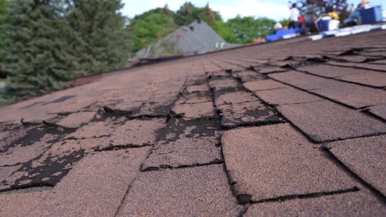 Best Cold Roofs  in Mount Holly, NC